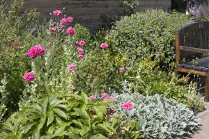 In 2015 Yorkshire in Bloom judges said “ High Royds Memorial Garden is a real gem. The raised beds around the entrance looked impressive packed with nectar-rich herbaceous perennials”. They went on to say it was capable of further development and in 2016 with the help of a grant from Tesco’s “Bag of Help” appeal and willing volunteers further work has been carried out in the garden and adjoining wood.